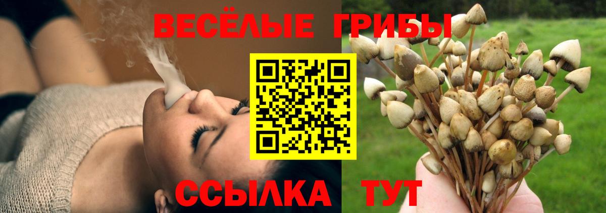 Галлюциногенные грибы мицелий  Псилоцибиновые грибы ЛСД  Курган  Вход с VPN 